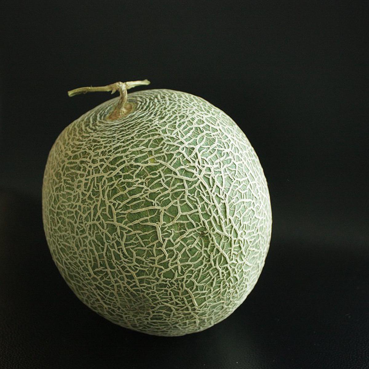 Cantaloupe