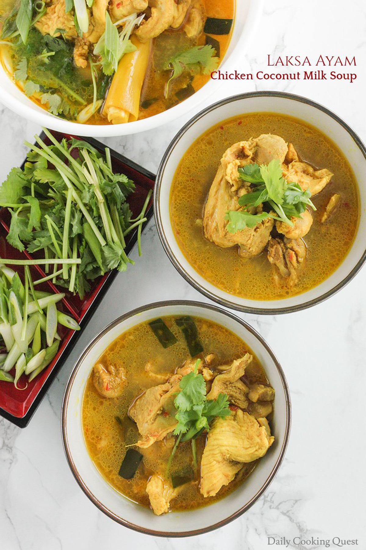 Laksa Ayam - Chicken Coconut Milk Soup