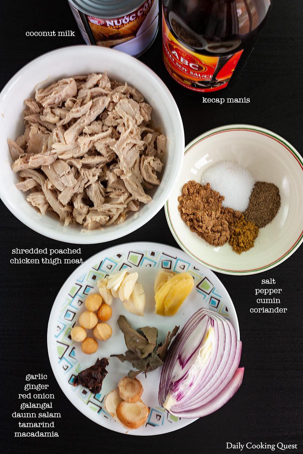 Ayam Suwir Saus Empal - Chicken in Spices & Coconut Milk Sauce