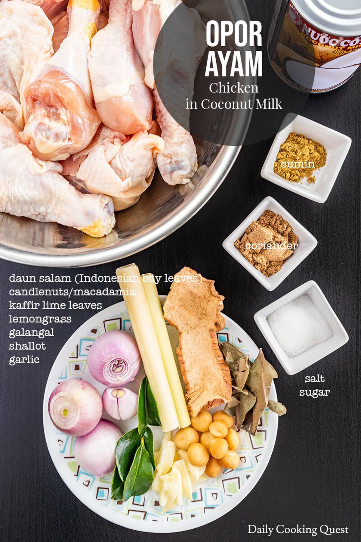 Ingredients for Opor Ayam - Chicken in Coconut Milk