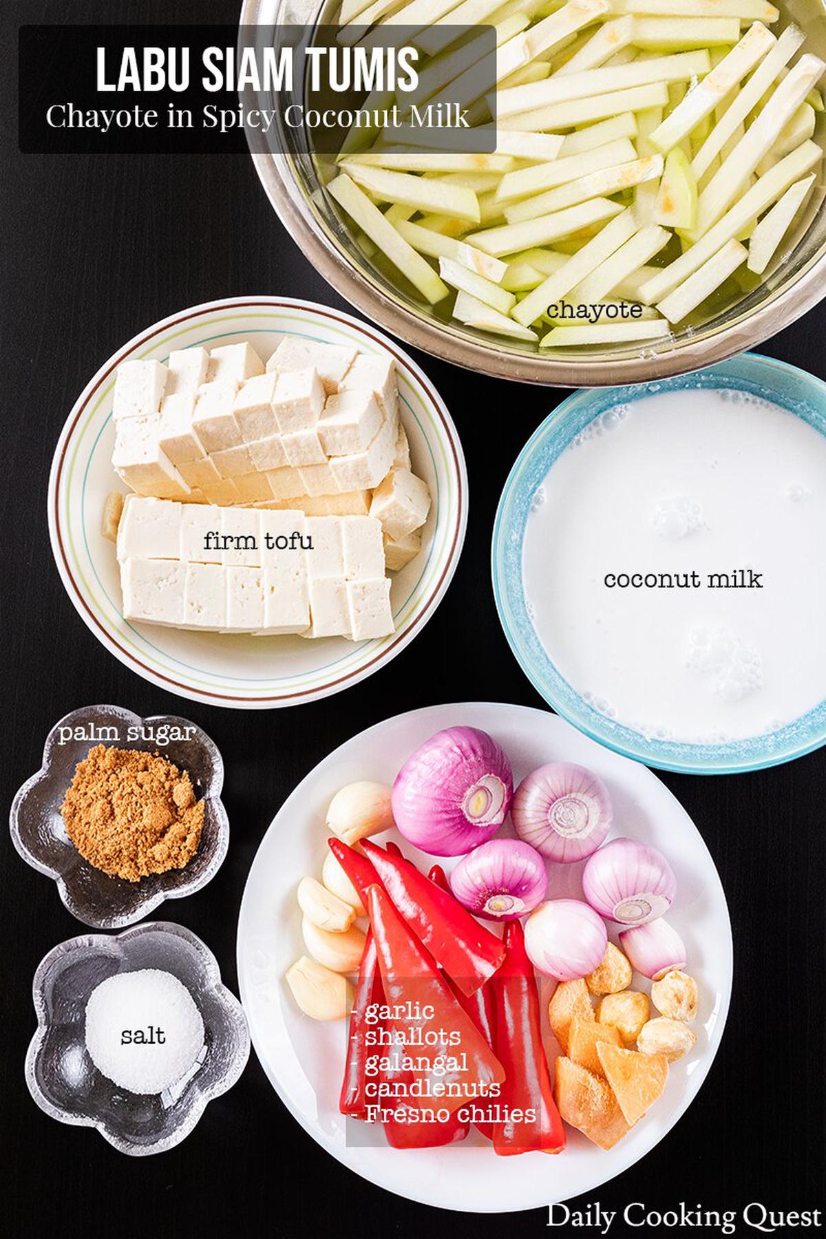 Ingredients to prepare labu siam tumis: chayote, firm tofu, coconut milk, shallots, garlic, galangal, candlenuts, red chilies, palm sugar, and salt.