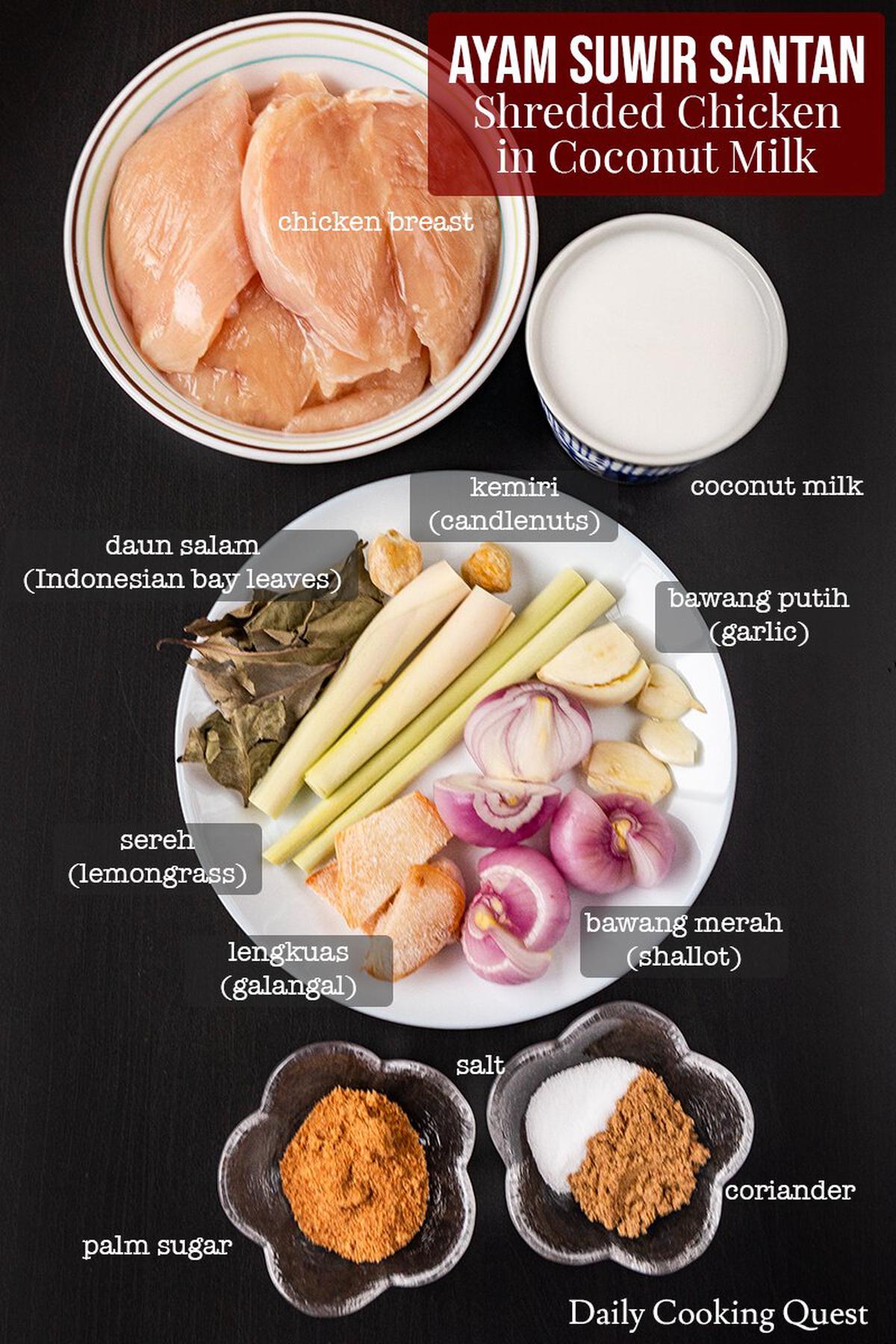 Ingredients for ayam suwir santan: chicken breast, coconut milk, shallot, garlic, candlenuts, lemongrass, galangal, daun salam, palm sugar, coriander, and salt.