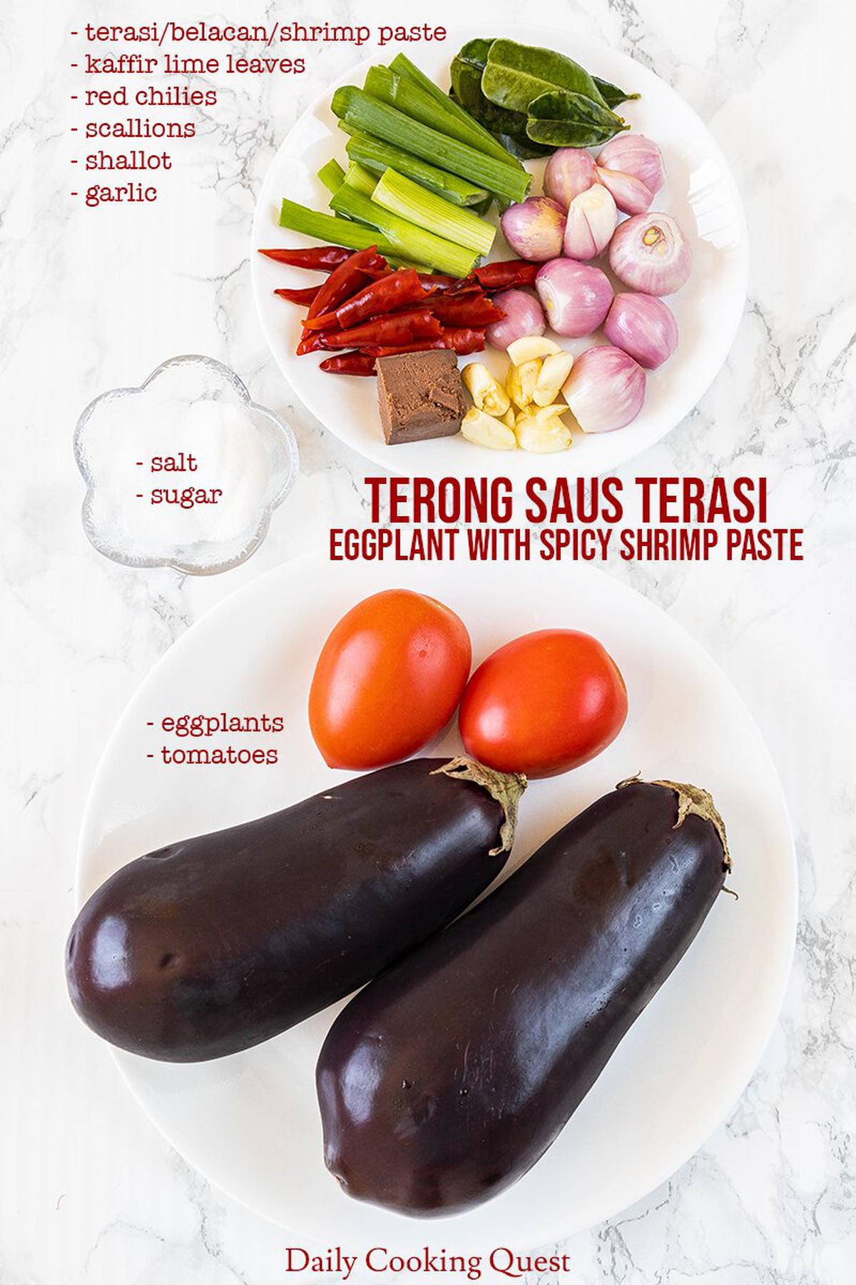 Terong Saus Terasi Eggplant With Spicy Shrimp Paste Daily Cooking Quest 9461