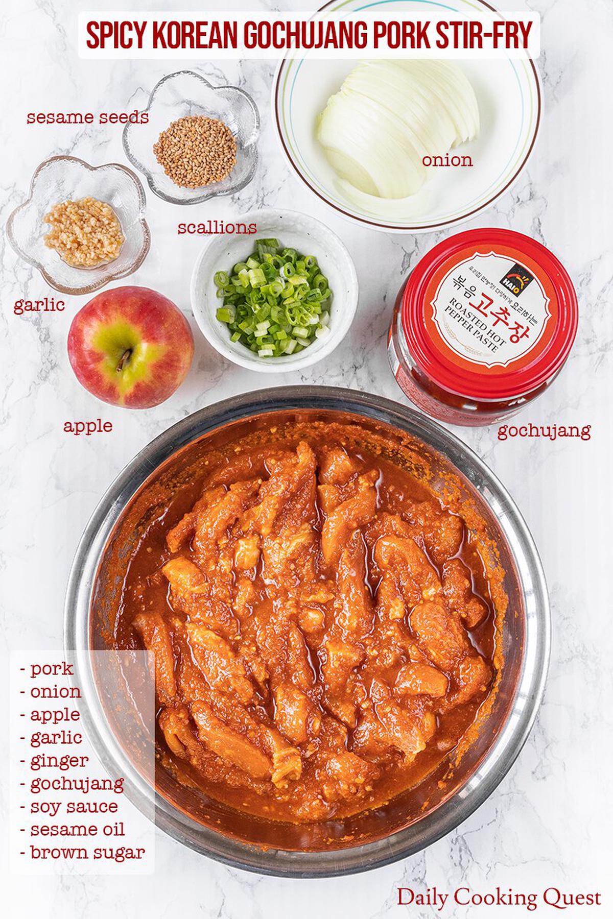 Ingredients for spicy Korean gochujang pork stir-fry: pork, onion, apple, ginger, garlic, scallions, soy sauce, brown sugar, gochujang, toasted sesame oil, and toasted sesame seeds.